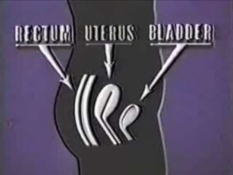 The Story of&nbsp;Menstruation