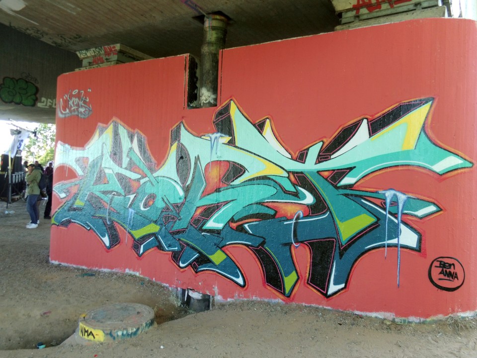 DSCI0243