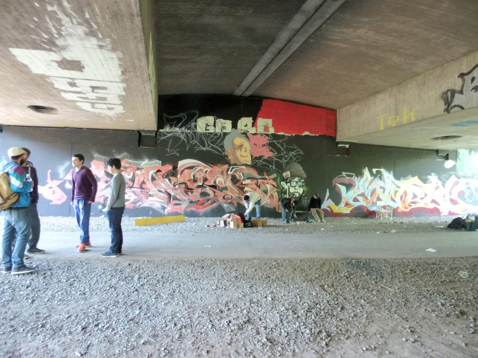 DSCI0266