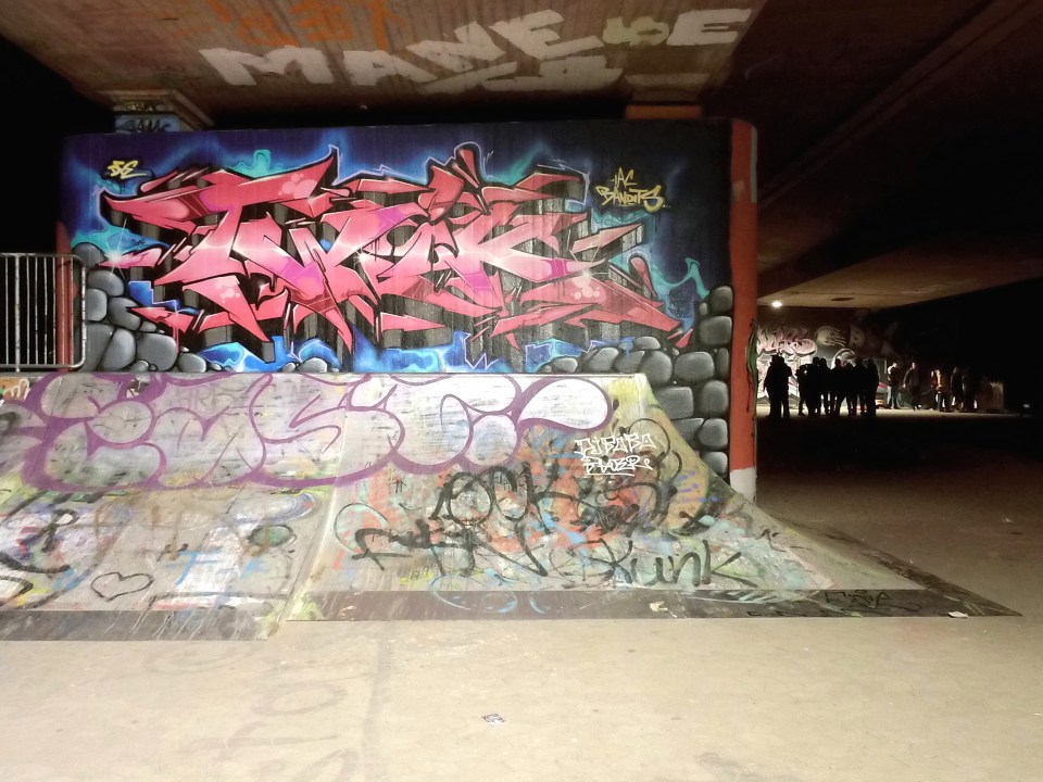 DSCI0315